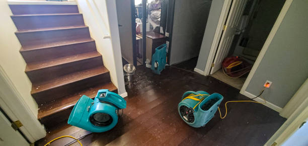 Professional Water damage restoration in Cheviot, OH